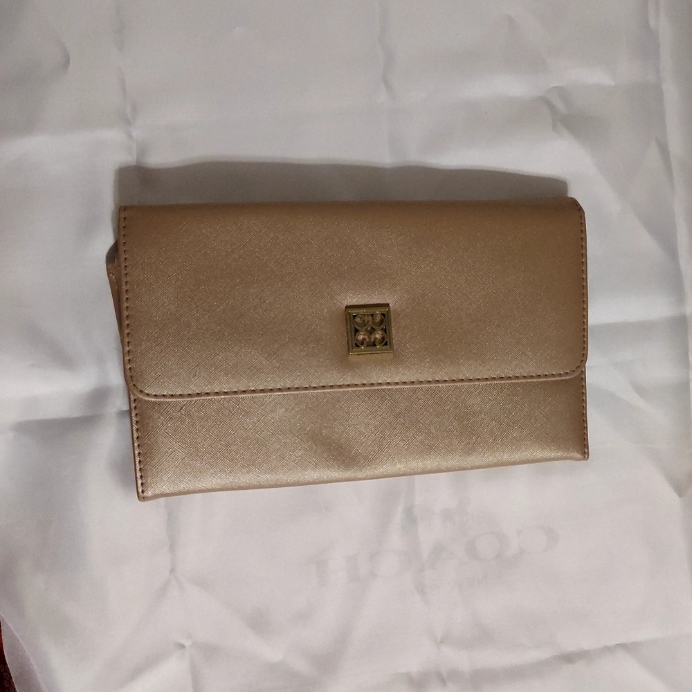 Metallic Gold Clutch 10x6‎